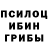 Галлюциногенные грибы Psilocybe Evelina K