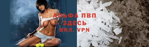 прущая мука Бородино