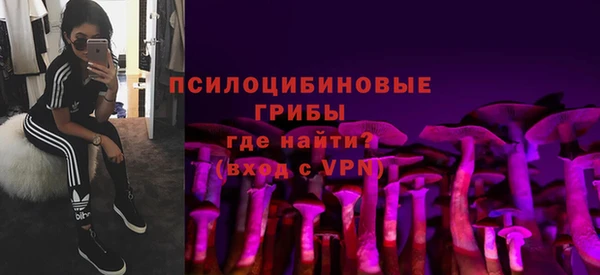 прущие грибы Краснотурьинск