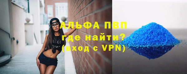 прущие грибы Бронницы