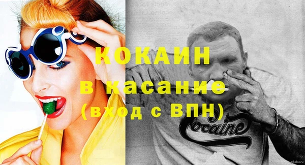 прущие грибы Бронницы