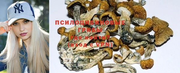 прущая мука Бородино
