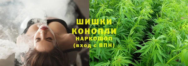 прущая мука Бородино