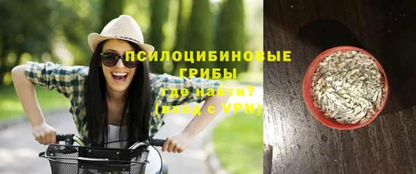 прущие грибы Бронницы